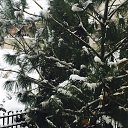 ���� �����, ��������, 51 ��� - ��������� 30 ������ 2016 � ������ �����