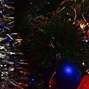  , --, 51  -  4  2016   31.12.15-01.01.16- !