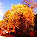 ���� ������, �����, 64 ���� - ��������� 1 ������� 2015 � ������ ���� ����������