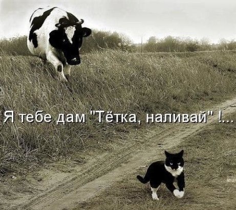 Ivan Karataev - 27  2015  13:15