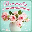 ���� ����� S \ S, ������, 53 ���� - ��������� 9 ������� 2015 � ������ �������� ��������