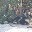 ���� ����, ���������, 65 ��� - ��������� 28 �������� 2015 � ������ ���� ����������