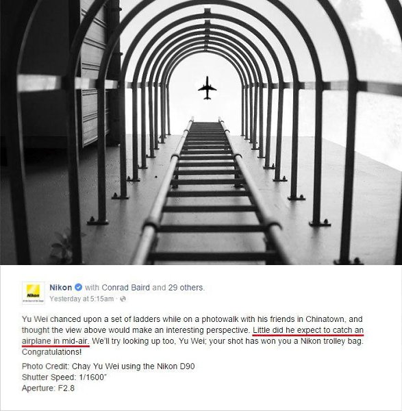 Как жутко отфотошопленная фотография победила на Nikon Awards и как весь интернет над этим посмеялся
