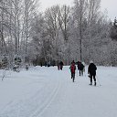  , , 69  -  8  2016   .  