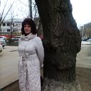 ���� �������, ���������, 73 ���� - ��������� 29 ������� 2016 � ������ ���� ����������