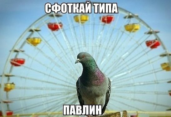  - ,  - 18  2016  08:17