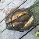 ���� ������, ������, 56 ��� - ��������� 19 ������� 2015