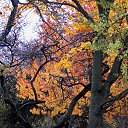 ���� �����, �����, 64 ���� - ��������� 9 ������ 2015 � ������ ��������� ����. 25.10.2015�