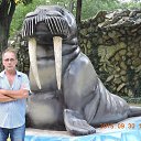 ���� Ը���, ����������� ����, 66 ��� - ��������� 23 ������� 2015