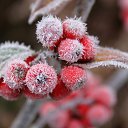  ••,  -  15  2015   