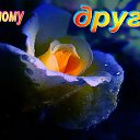 ���� �������, ����� - ��������� 8 ����� 2016 � ������ �������� ��������