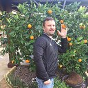 ���� ���������, ������, 46 ��� - ��������� 17 ������� 2016 � ������ ���� ����������