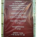 ���� �������, ������� - ��������� 28 ������ 2016 � ������ ������ ��������