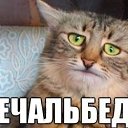  s.Šî,  -  12  2015    