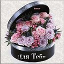 ���� ��������� ���������, ��������� - ��������� 21 ������� 2015 � ������ ���� ����������