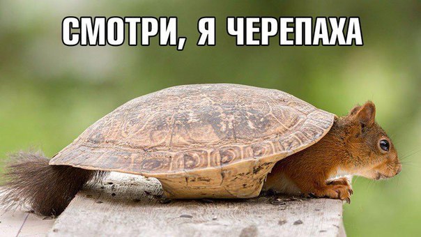    - 17  2016  20:11