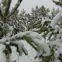 ���� ������, ���������� - ��������� 1 ������� 2015