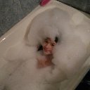 ���� Anton, ������������, 46 ��� - ��������� 7 ������ 2016 � ������ ������ ��������