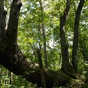 ���� ����, ���������, 79 ��� - ��������� 22 ������� 2015 � ������ ���� ����������