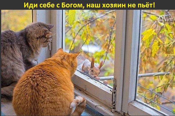   - 17  2015  17:47