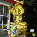 ���� ������, ����, 58 ��� - ��������� 20 ������ 2016 � ������ ������ �� �������