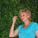 ���� �������, ����������, 68 ��� - ��������� 27 ������ 2015