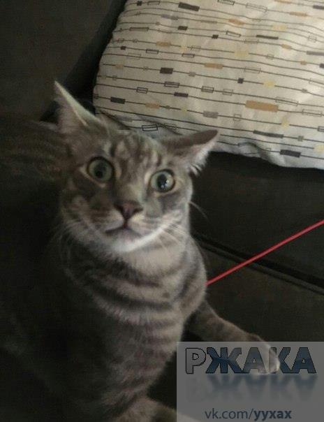"  ,  ,   ... ,   "