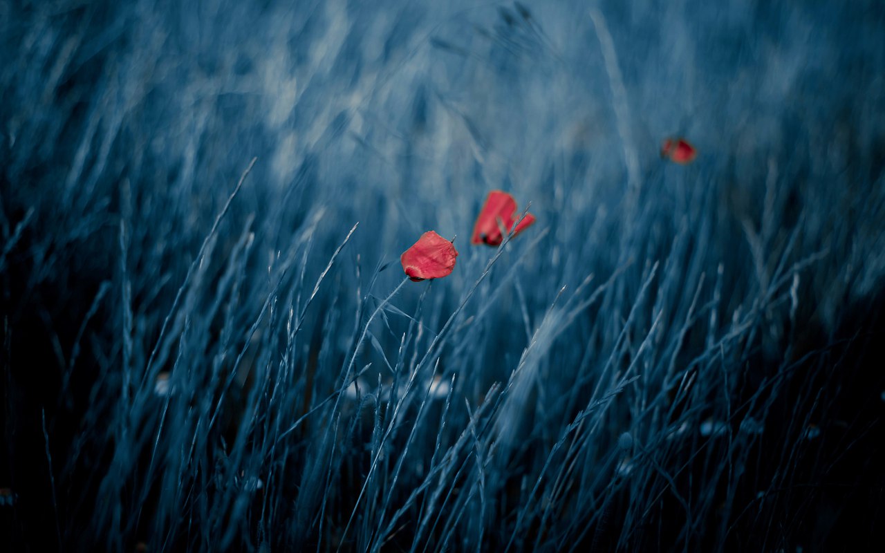    - 12  2015  17:55