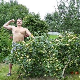 �������, ���������, 44 ����