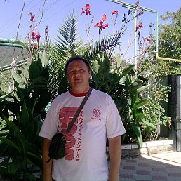 ������, ����-���������, 65 ���