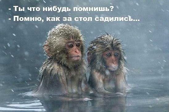  , ,  ,      —  .. ...