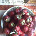 ���� ������, ����������, 81 ��� - ��������� 26 ������� 2015 � ������ ������ ��������