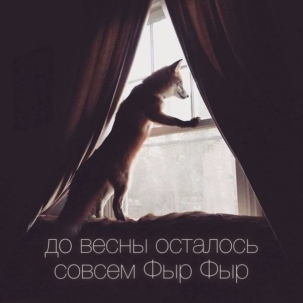   - 18  2016  03:10