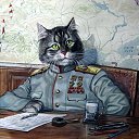 ���� �����, ������������, 49 ��� - ��������� 2 ����� 2016 � ������ ���� ����������