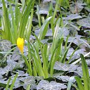  , , 60  -  4  2015   25.10.15.   