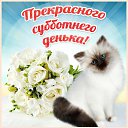 ���� �����, ������, 51 ��� - ��������� 16 ������� 2015 � ������ �������� ��������