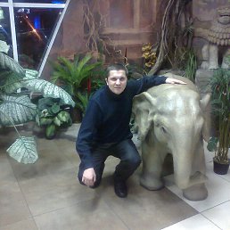 ���� ���������, �����, 45 ��� - ��������� 27 ������ 2015