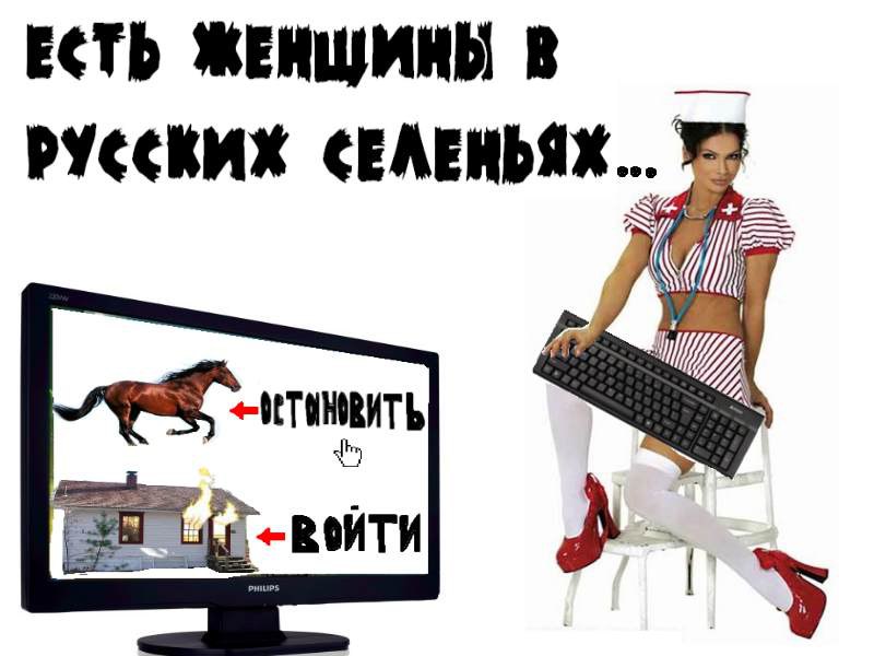   - 29  2015  15:04