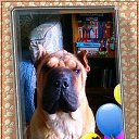 ���� _A_n_g_e_l__, ����� - ��������� 12 ������� 2016 � ������ ���� ����������
