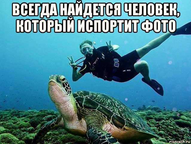   -   - 24  2016  01:03