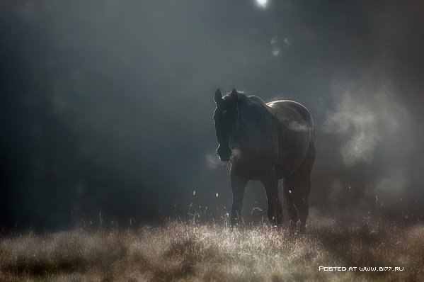 A l o n e -  Mikko Lagerstedt - 10