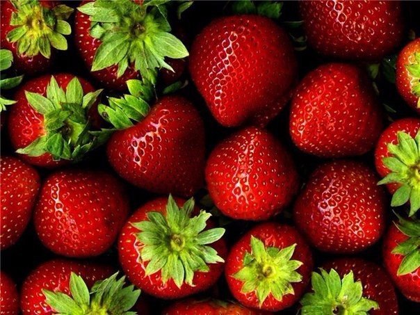   ?).#foodporn@bon.appetit - 4