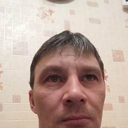 , 44 ,  