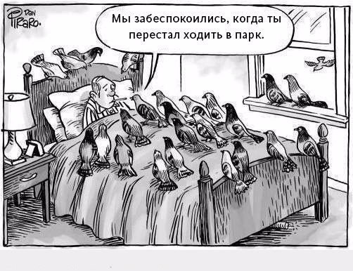 LIFE -  - 21  2015  20:08