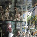���� Roman, ������, 39 ��� - ��������� 19 ������� 2015 � ������ �Italia�