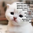 ���� �������, �������, 39 ��� - ��������� 25 ������� 2016 � ������ ������ ��������