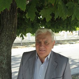 Владимир, 65, Комсомольское