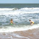            .   20-50          ,      .        ,  .         .    2015