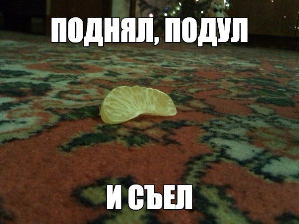    :D - 3  2016  17:01
