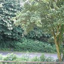  , -, 59  -  21  2016   